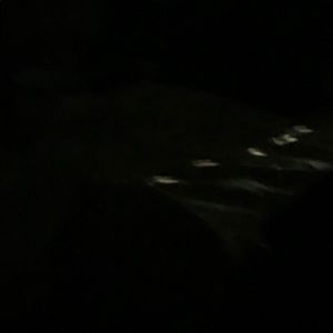 Meet your Posher, Derrick